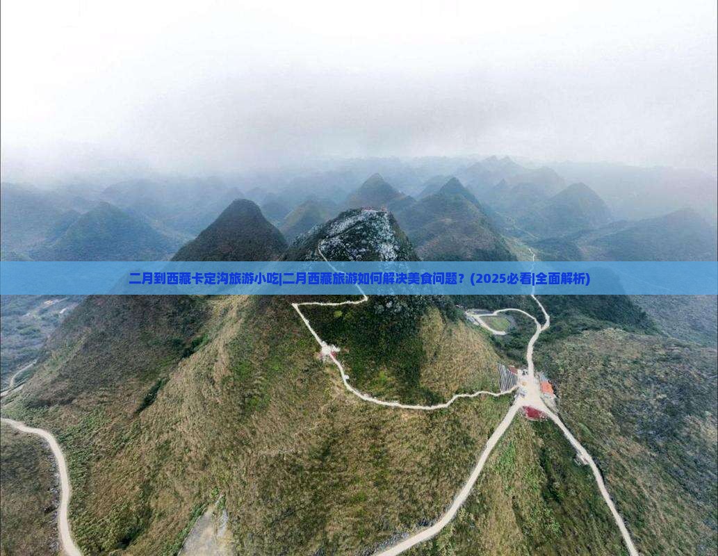 二月到西藏卡定沟旅游小吃