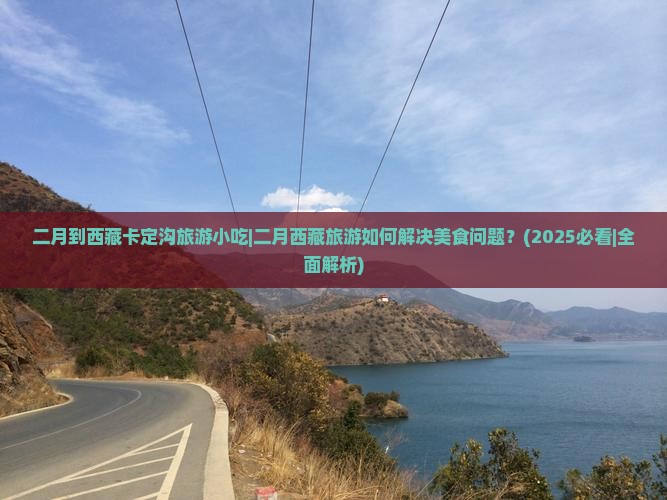 二月到西藏卡定沟旅游小吃