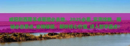 咸阳到西藏羊卓雍措必去地