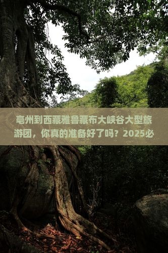 亳州到西藏雅鲁藏布大峡谷大型旅游团