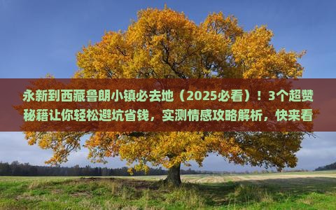 永新到西藏鲁朗小镇必去地