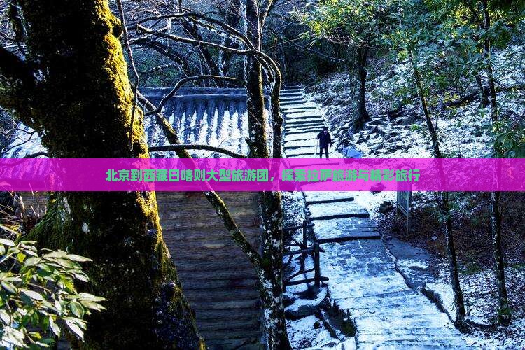 北京到西藏日喀则大型旅游团