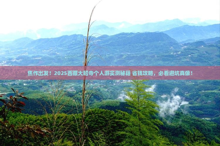 焦作到西藏大昭寺个人游