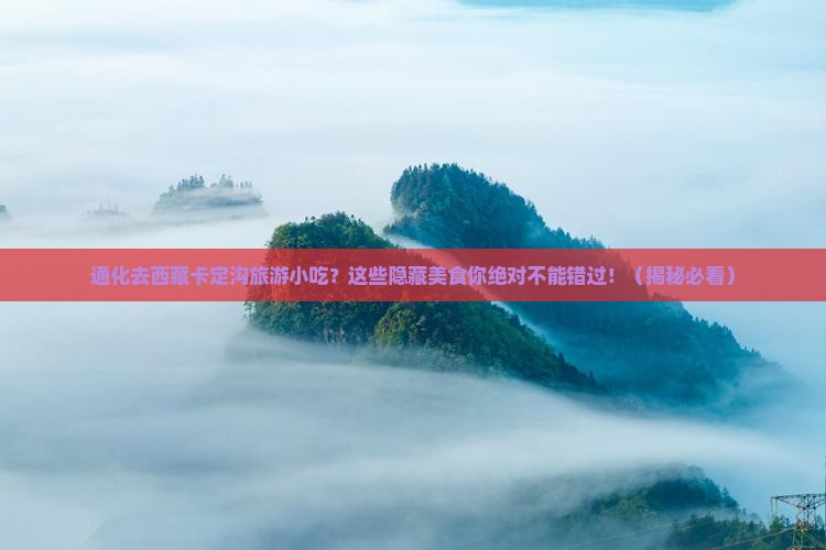 通化去西藏卡定沟旅游小吃