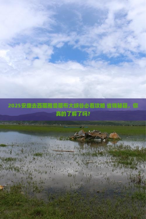安康去西藏雅鲁藏布大峡谷旅行社