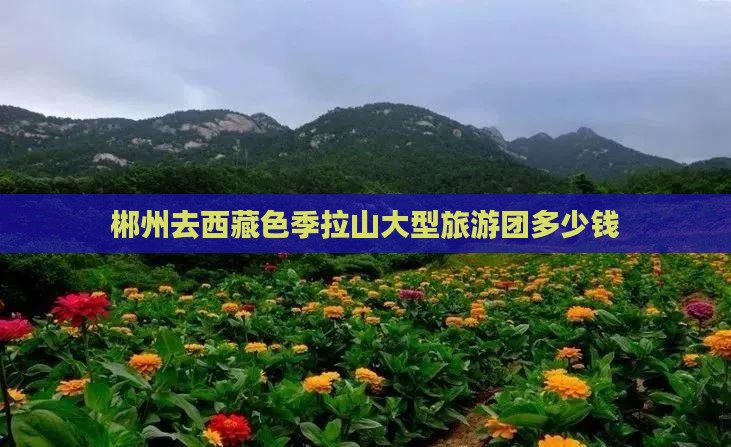 郴州去西藏色季拉山大型旅游团