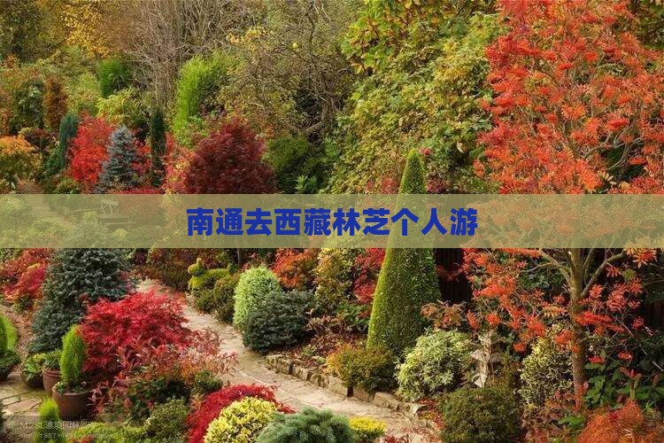 南通去西藏林芝个人游