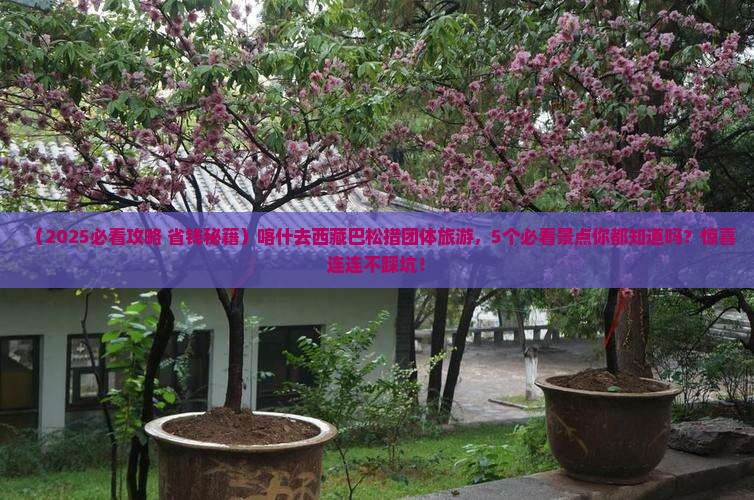 喀什去西藏巴松措团体旅游