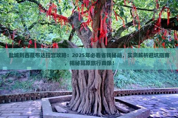 盐城到西藏布达拉宫攻略