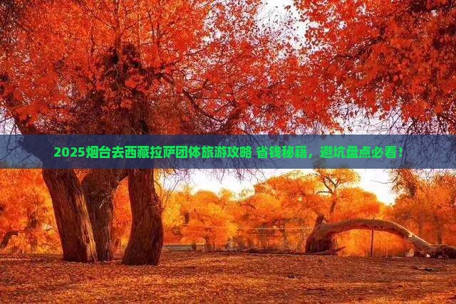 烟台去西藏拉萨团体旅游