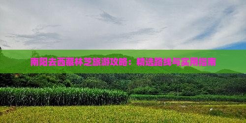 南阳去西藏林芝攻略