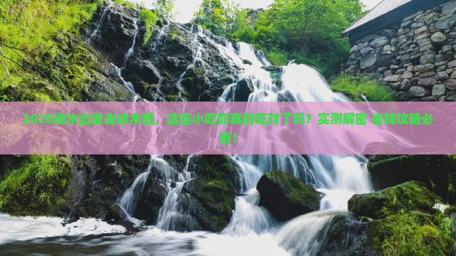 衡水到西藏纳木措旅游小吃