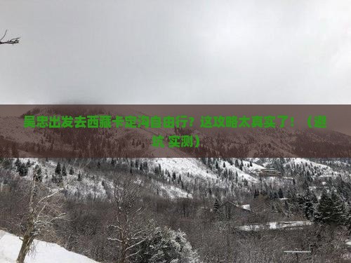 吴忠去西藏卡定沟自由行