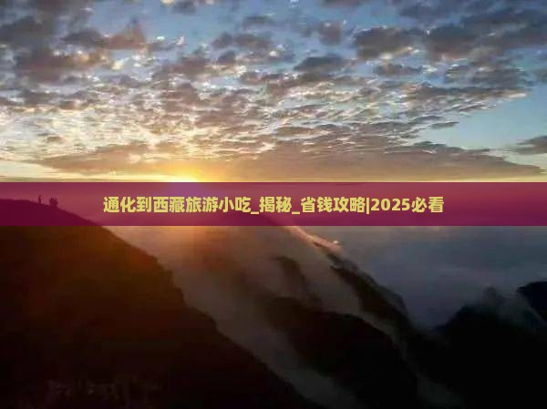通化到西藏旅游小吃