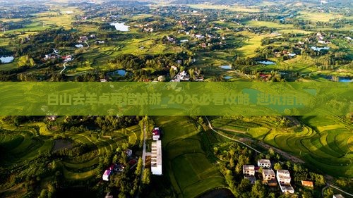 白山去西藏羊卓雍措旅游