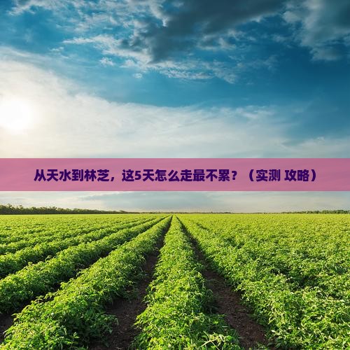 天水到西藏林芝门票