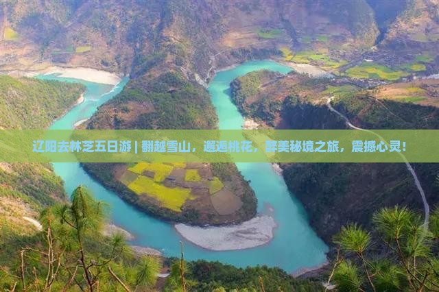 辽阳去西藏林芝五日游