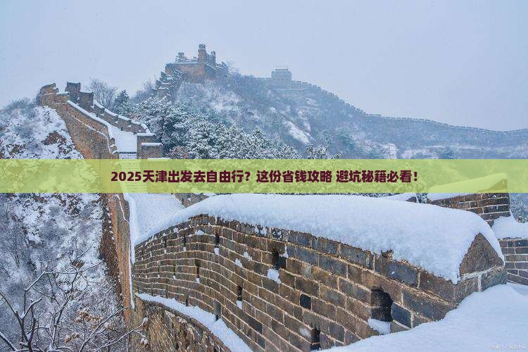 天津去西藏自由团