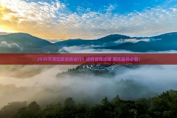 天津去西藏自由团