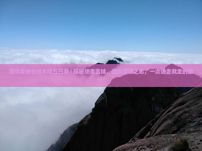 西双版纳去西藏纳木措五日游