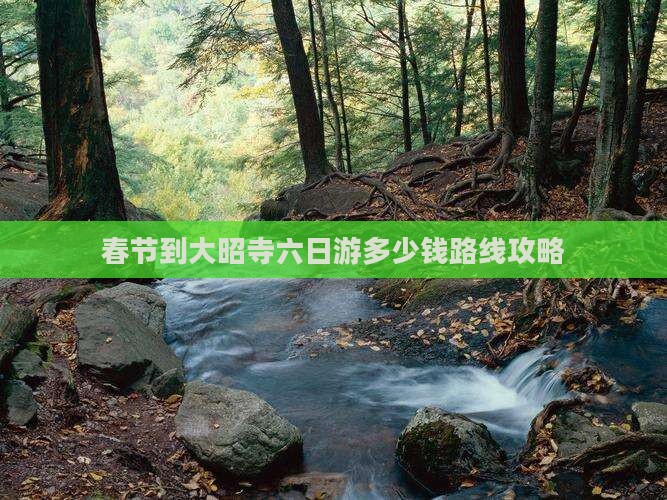 春节到西藏大昭寺六日游
