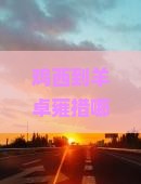 鸡西到西藏羊卓雍措哪里玩