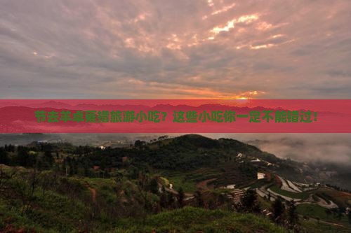 国庆节去西藏羊卓雍措旅游小吃