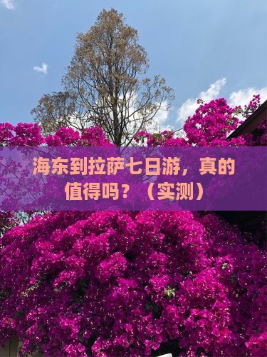 海东到西藏拉萨七日游