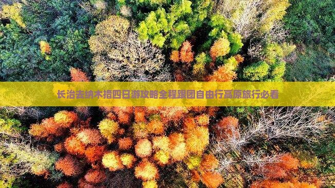 长治去西藏纳木措四日游
