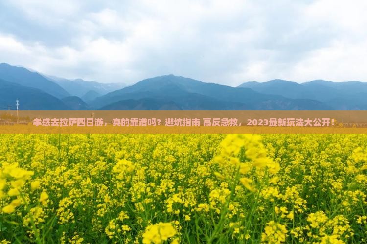 孝感去西藏拉萨四日游