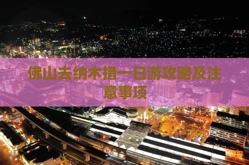 佛山去西藏纳木措一日