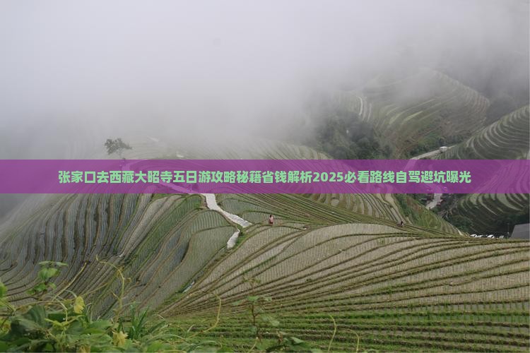 张家口去西藏大昭寺五日游