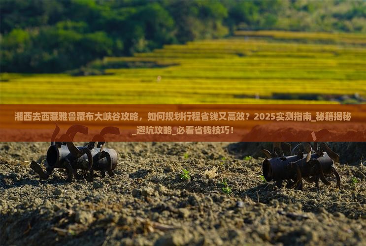 湘西去西藏雅鲁藏布大峡谷攻略 湘西去西藏雅鲁藏布大峡谷攻略