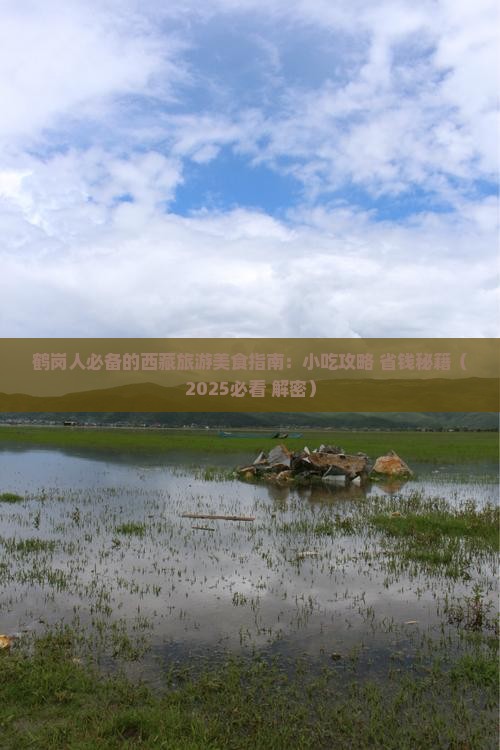 鹤岗去西藏旅游小吃 鹤岗去西藏旅游小吃