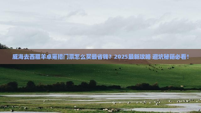 威海去西藏羊卓雍措门票
