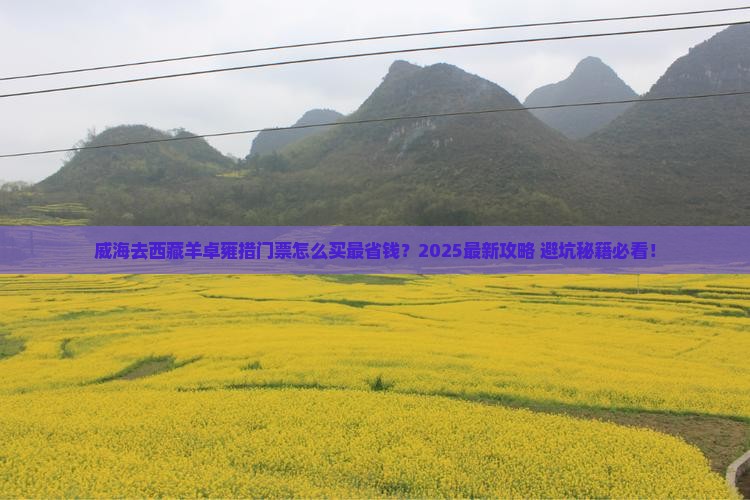 威海去西藏羊卓雍措门票