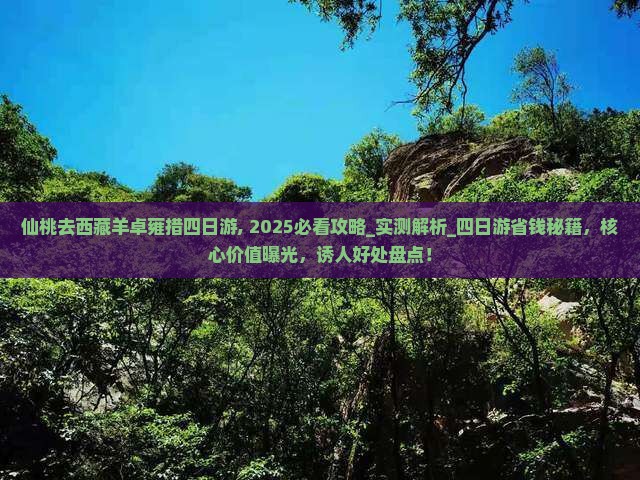仙桃去西藏羊卓雍措四日游