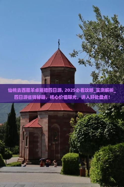 仙桃去西藏羊卓雍措四日游