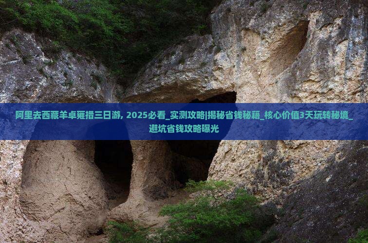 阿里去西藏羊卓雍措三日游