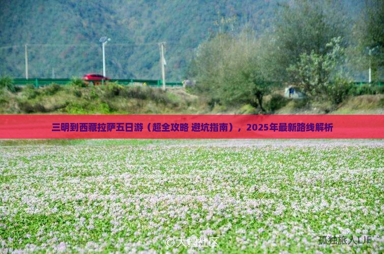 三明到西藏拉萨五日游 三明到西藏拉萨五日游