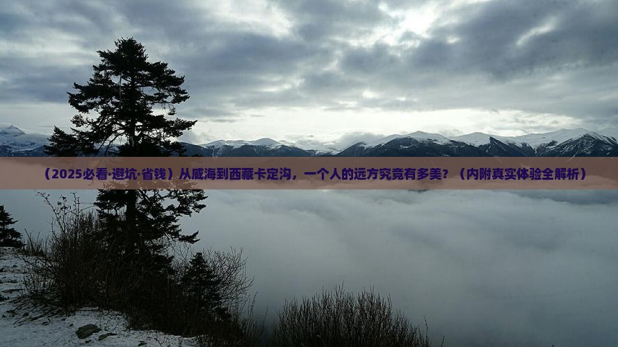 威海去西藏卡定沟个人游