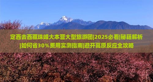 定西去西藏珠峰大本营大型旅游团