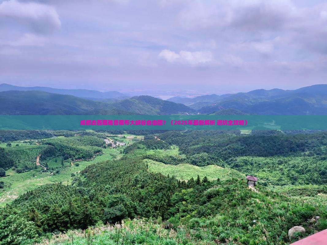 成都去西藏雅鲁藏布大峡谷自由团