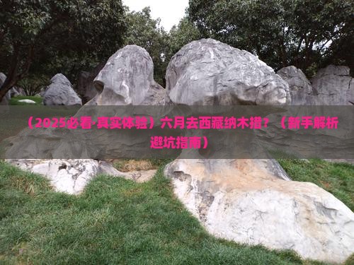 六月到西藏纳木措攻略 六月到西藏纳木措攻略
