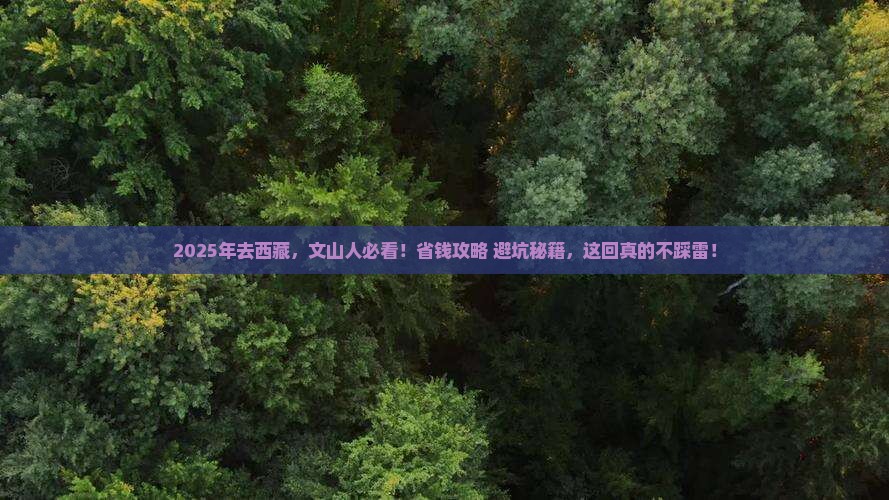 文山去西藏攻略
