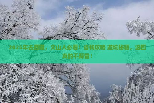 文山去西藏攻略