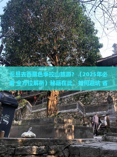 元旦去西藏色季拉山旅游