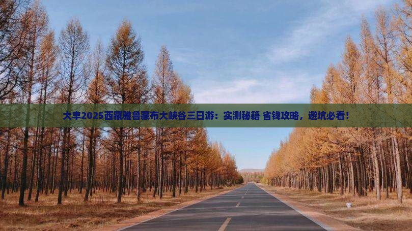 大丰去西藏雅鲁藏布大峡谷三日游