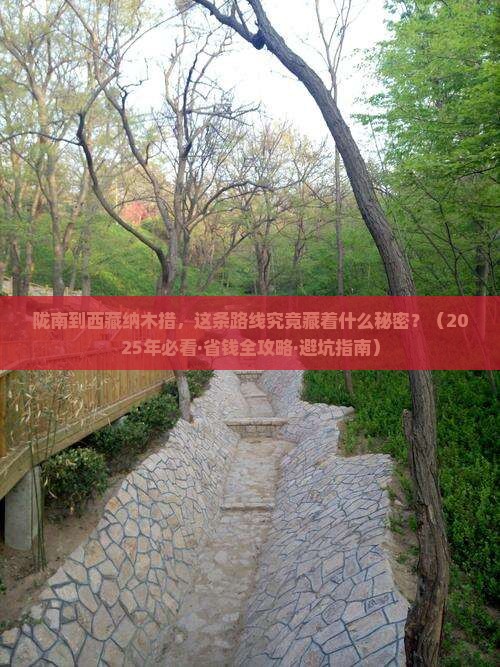 陇南去西藏纳木措哪里玩