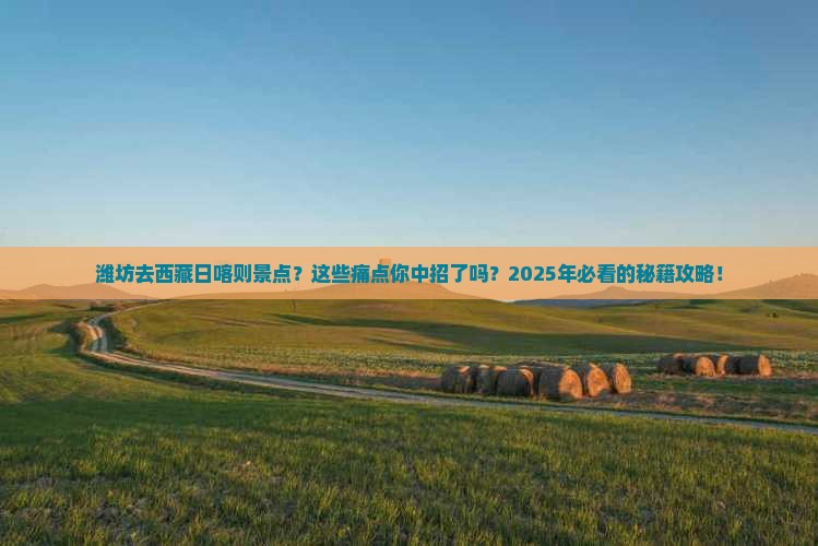 潍坊去西藏日喀则景点